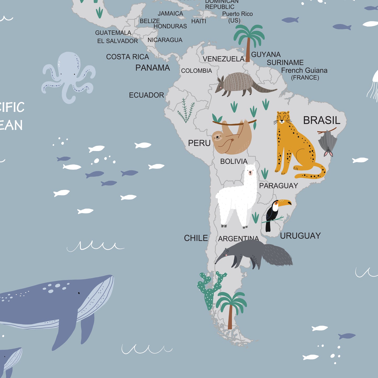 Dünya Haritası Çocuk Odası Duvar Kağıdı