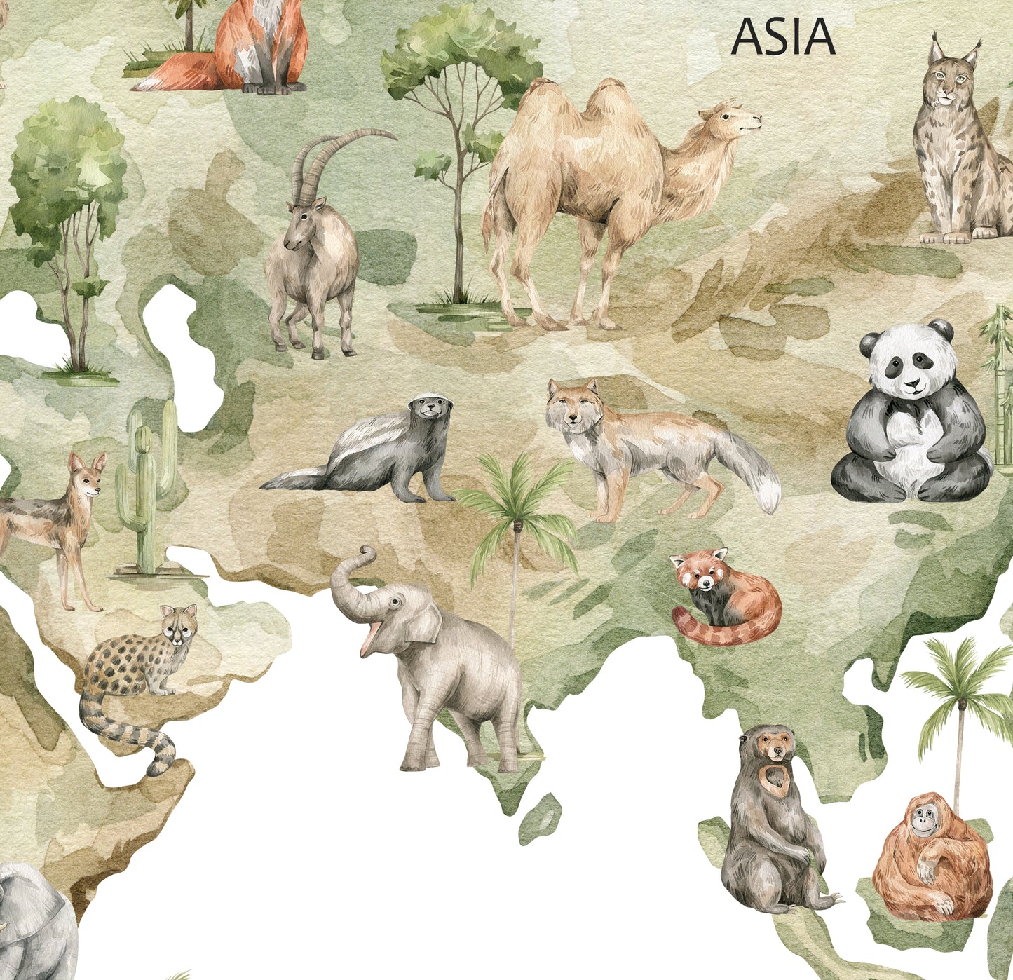 Sulu Boya Dünya Haritası Sticker Seti
